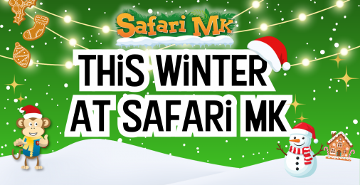 Christmas at Safari MK